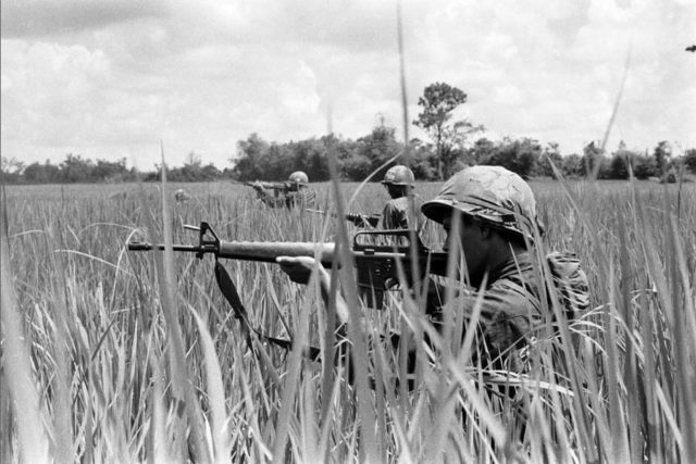 Four members of the 25th Infantry Division aiming guns through tall grass