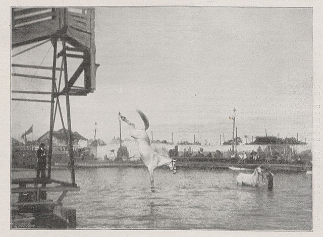 Diving horses at the Crystal Palace in London