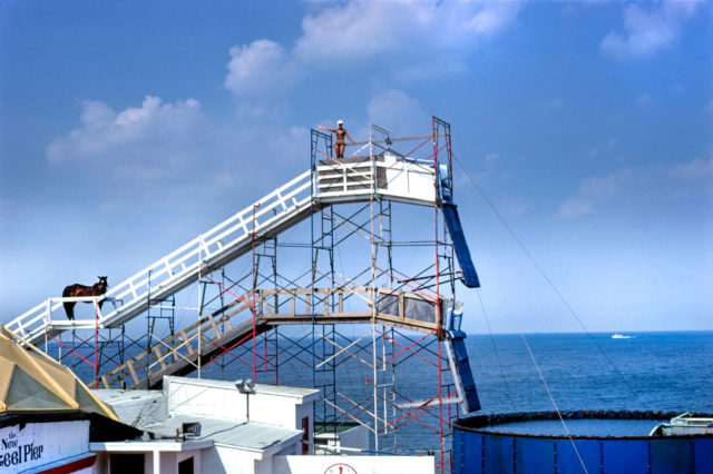 Diving horse in Atlantic City