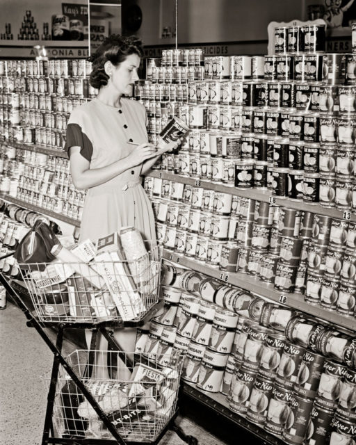  Brunette Woman With Shopping Cart