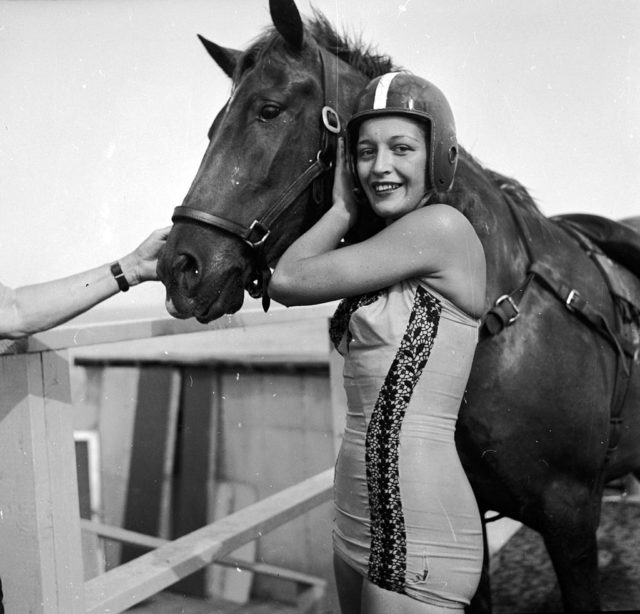 A diving horse stands with her rider 
