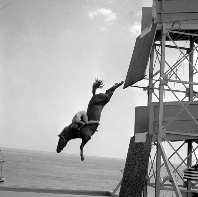 Horse mid-dive with the rider clinging to its neck