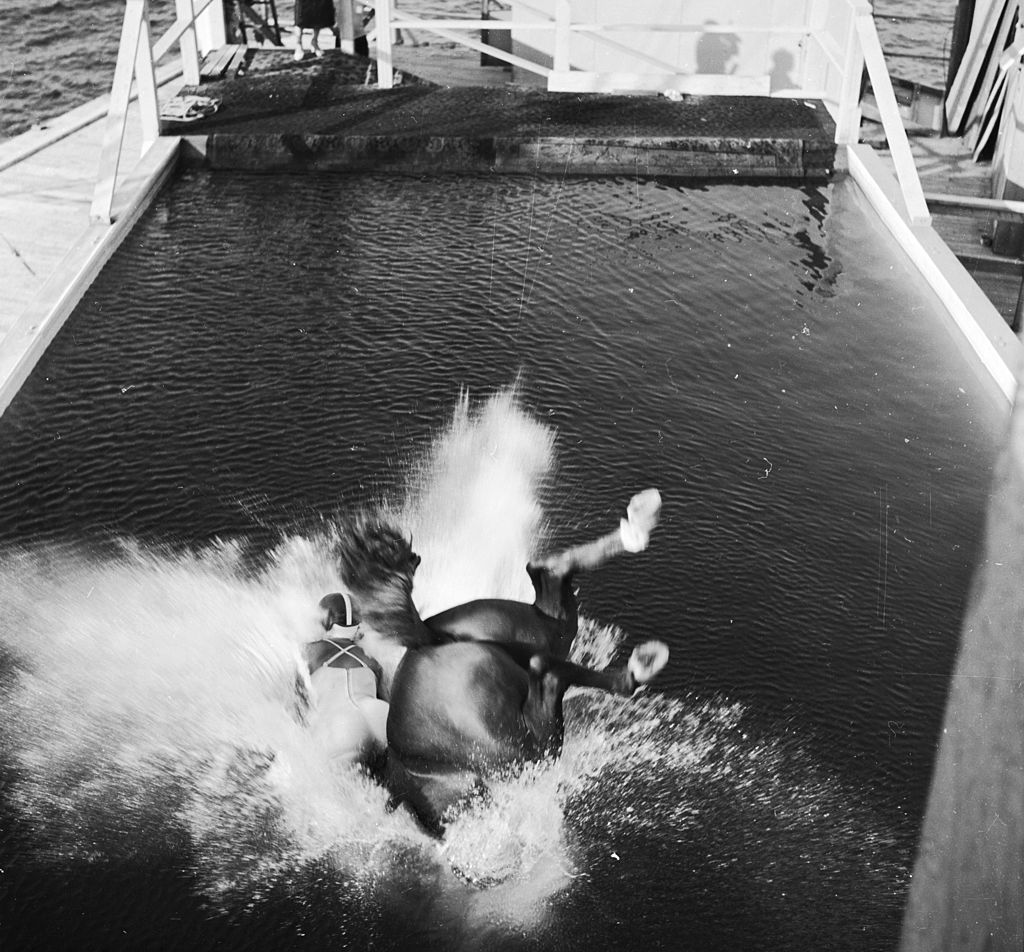 Horse Diving Wild West Invention Turned Atlantic City Attraction The