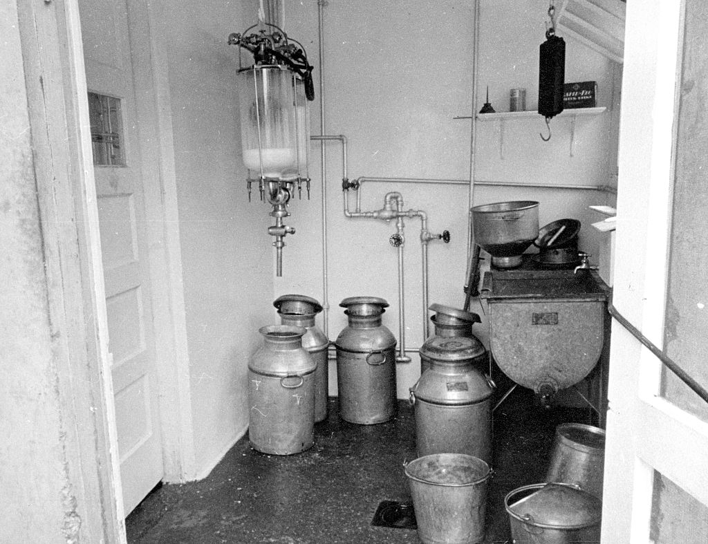 Dairy Could Be Dangerous in the 19th Century The Vintage News