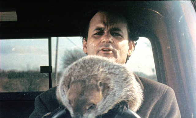 Bill Murray and the groundhog