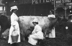 milk maids at a dairy show