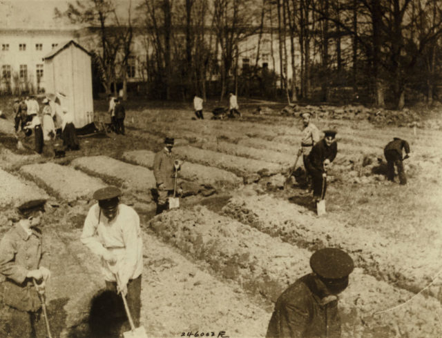 Tsar Nicholas gardening 