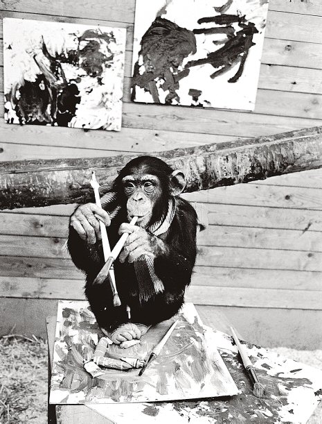Pierre Brassau, Monkey Artist 