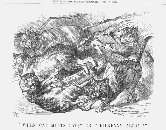 drawing of fighting cats