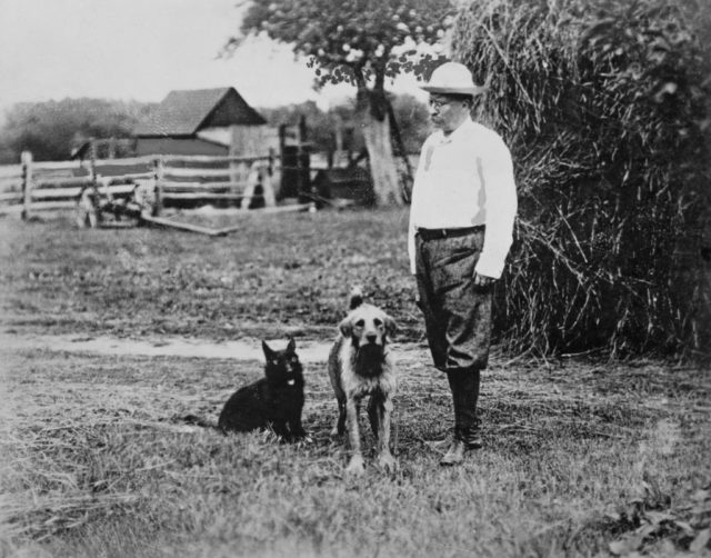 Theodore Roosevelt and his dogs