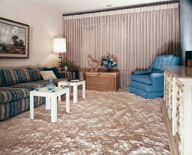 Shag carpet in a loving room 