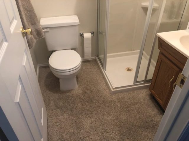 Carpeted Bathroom 