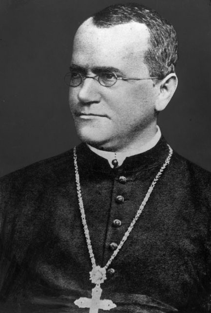 Gregor Mendel