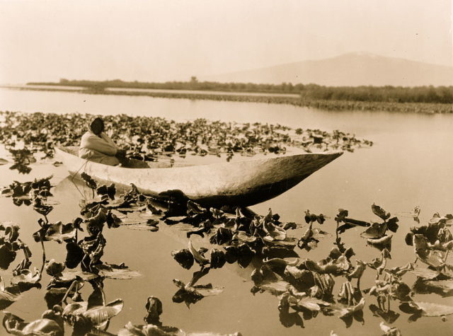 A Klamath woman sits in her canoe in a field of woks 