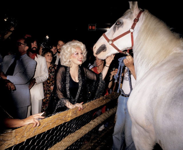 Dolly Parton petting a horse