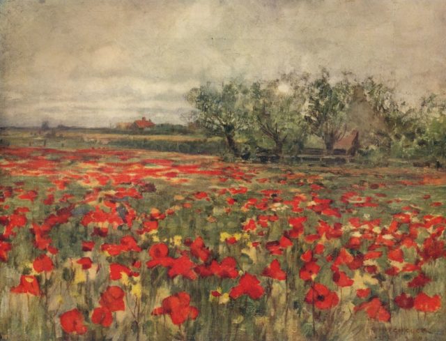 A painting of a poppy field