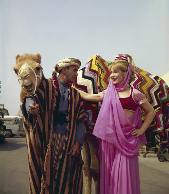 "I Dream of Jeannie" star Barbara Eden poses with a camel in her iconic pink genie costume