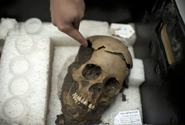 Mexican skull found at Templo Mayer archeology site 