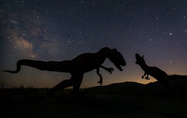 Dinosaurs at night 