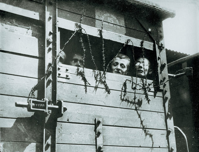 Four men look out of a railway car window closed with barbed wire