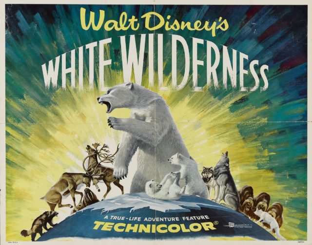 Lobby card for Disney's 'White Wilderness'