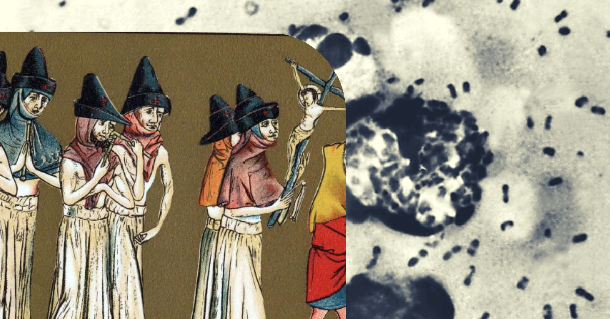 What Was the Black Death, and Where Did It Originate? The Vintage News