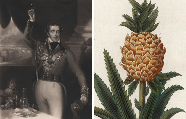 Left: portrait of the Duke of Wellington. Right: Pineapple