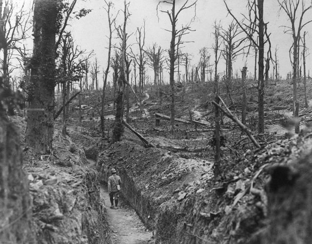 Black and white photo of the Somme, desolate landscape that is muddy with trees without leaves.