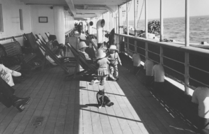 Black and white photo of a cat sitting in the sun on an ocean liner with passengers sitting on chairs in the background.