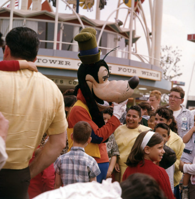 Goofy in a crowd