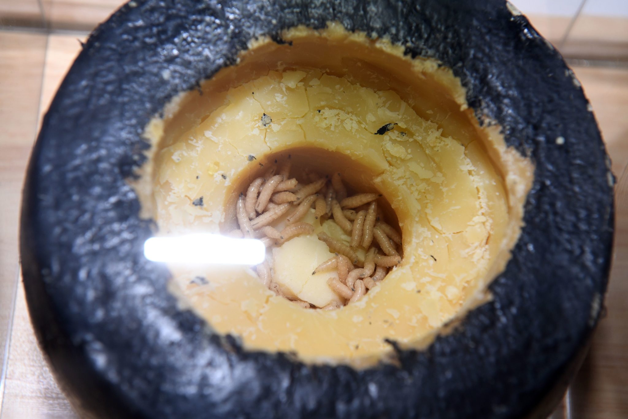 Casu Marzu, the MaggotInfested Cheese Delicacy