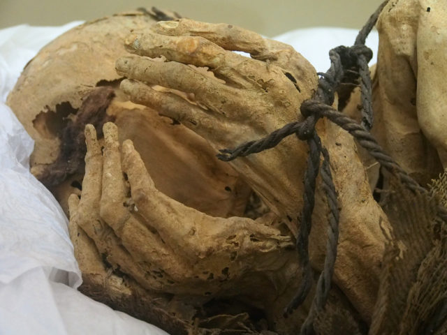 close up of the Cajamarquilla mummy