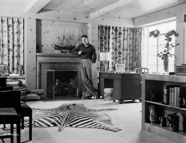 Errol Flynn poses in a room decorated with zebra skin rug and fireplace in his Hollywood home