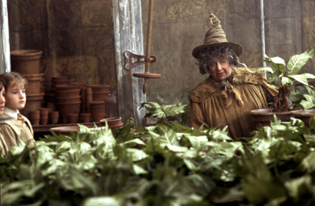 Miriam Margolyes dressed as Professor Sprout 