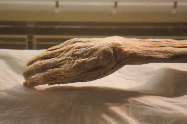 The hand of The Lady of Dai