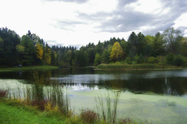 A landscape of Cuyahoga Valley National Park