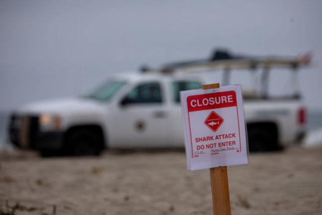 A beach sign reads "Closure: Shark Attack, Do Not Enter"