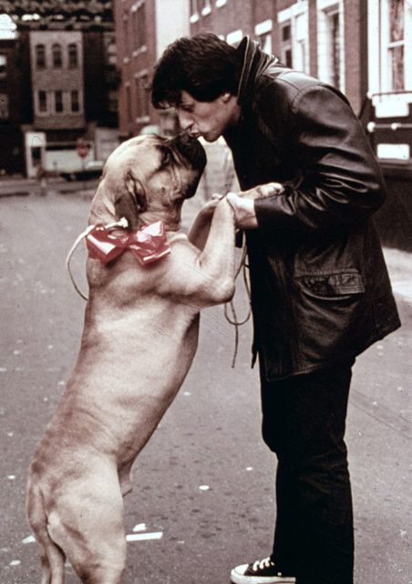 Sylvester Stallone wearing a leather jacket leaning down to kiss a dog while it stands on its back legs.