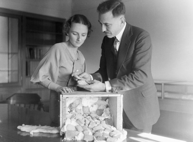 Carl Knopf and Ida May standing over a box containing fragments of tablets.