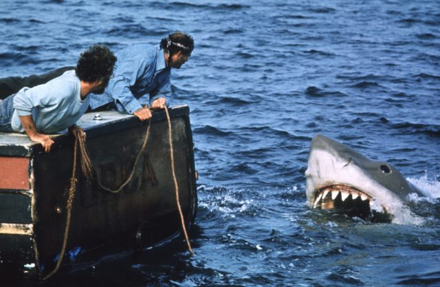 Two men lean over the stern of a boat as a shark approaches