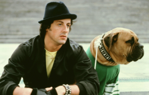 Sylvester Stallone as Rocky sitting beside a large dog wearing a green football jersey.
