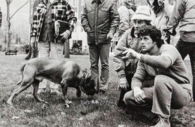 Black and white photo of Sylvester Stallone crouching down and pointing in the distance while his dog sniffs the grass beside him.