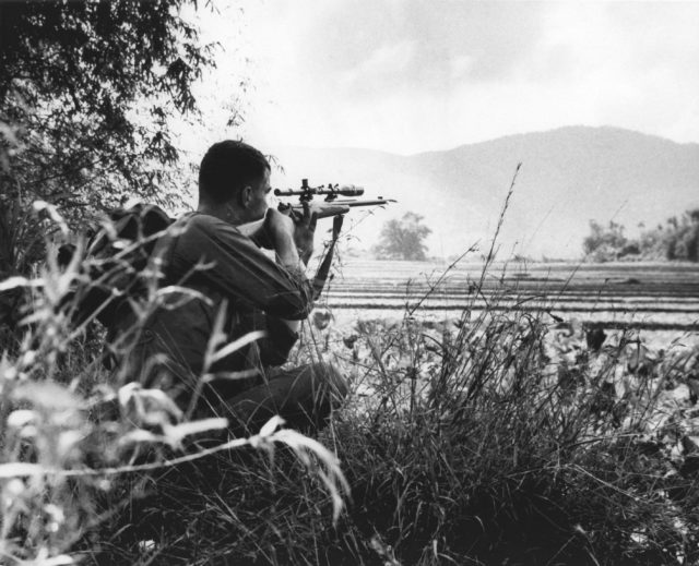 US Marine squatting down in tall grass with a sniper rifle trained on something in the distance. 