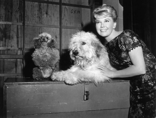 Doris Day with two dogs