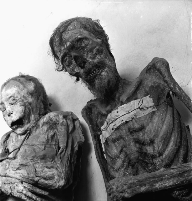 Two mummies