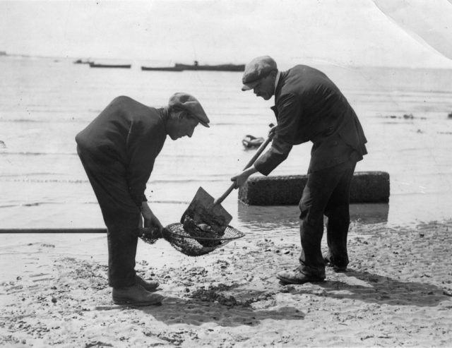 Two men sift through dirt on a beach looking for treasure