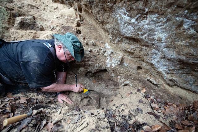 A man excavates Neanderthal remains in a cave