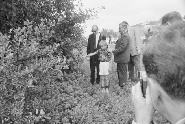 People gathered around a bush, a young boy points a stick towards the bush