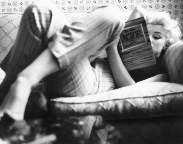 Monroe reads a book on a couch