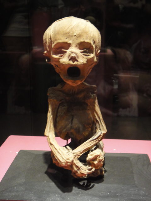 Fetus mummy with mouth open